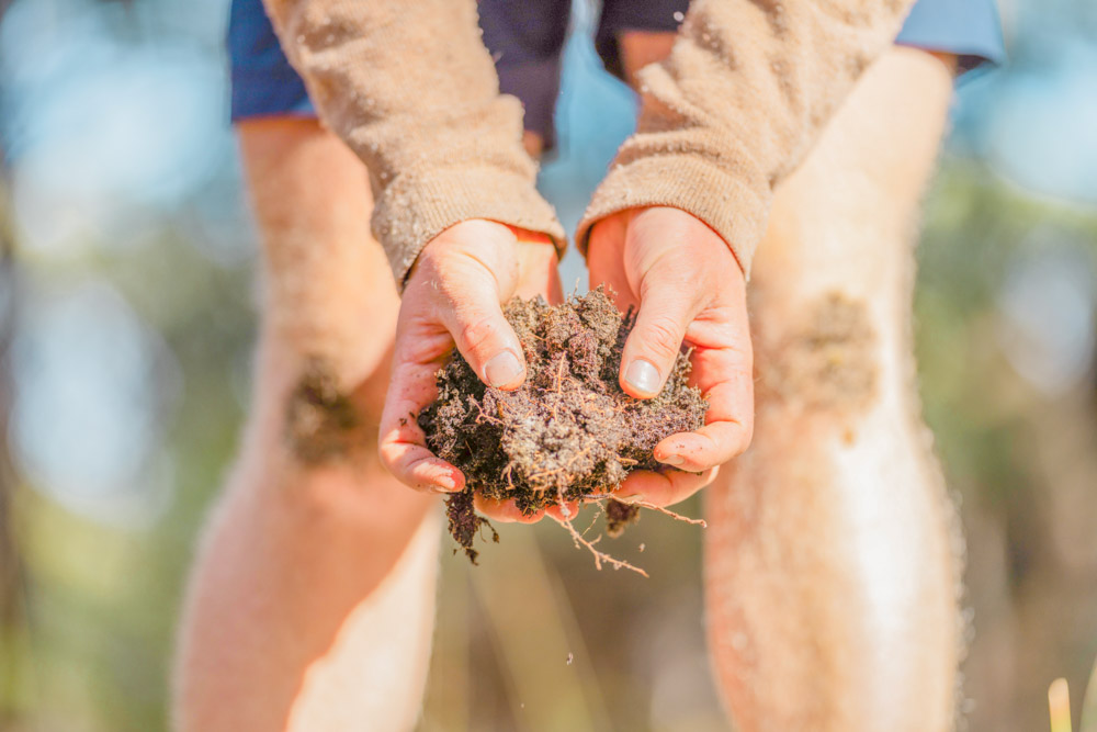 安心して相談できる場所を見つける大切さ